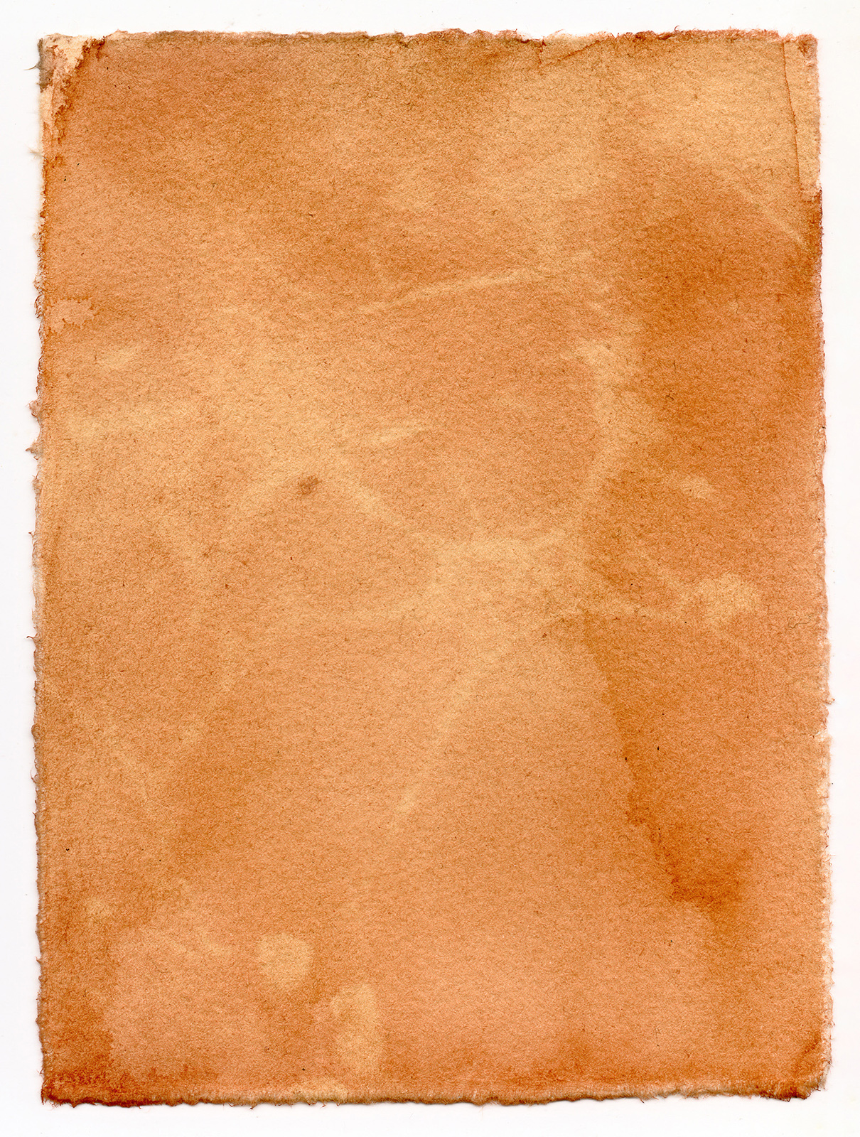 Liina Aalto-Setälä: Päivännäkemä I