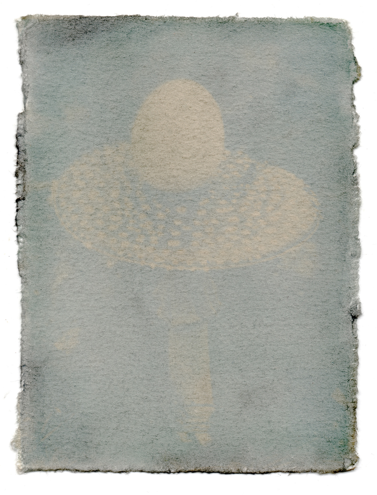 Liina Aalto-Setälä: Päivännäkemä II