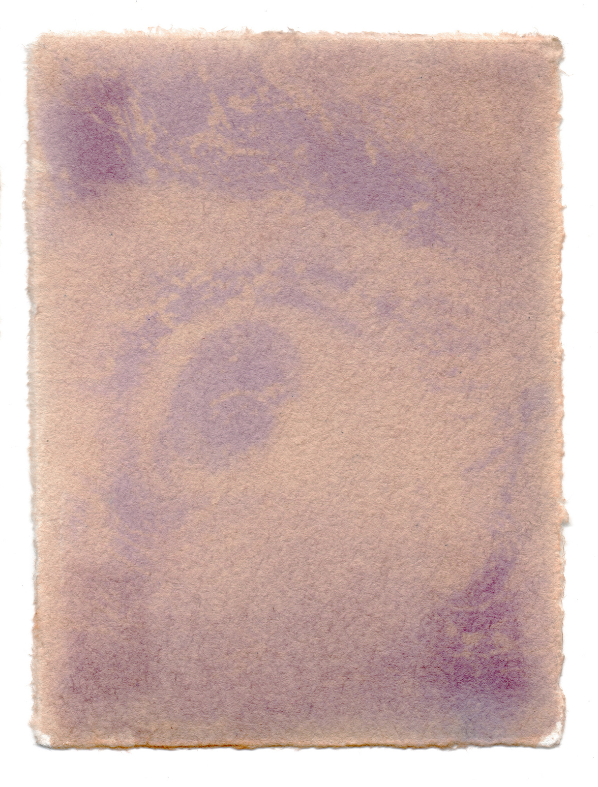 Liina Aalto-Setälä: Päivännäkemä IV