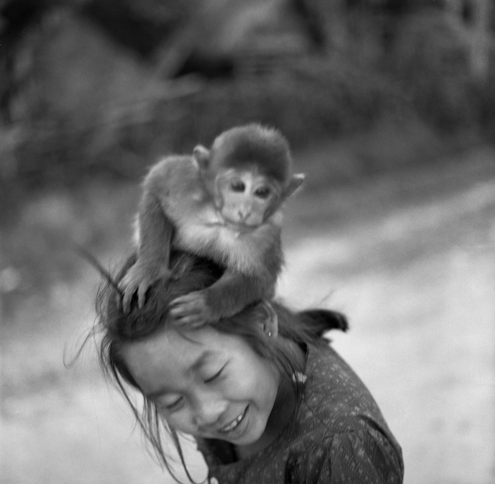 Riitta Järvelä: Tyttö ja apina