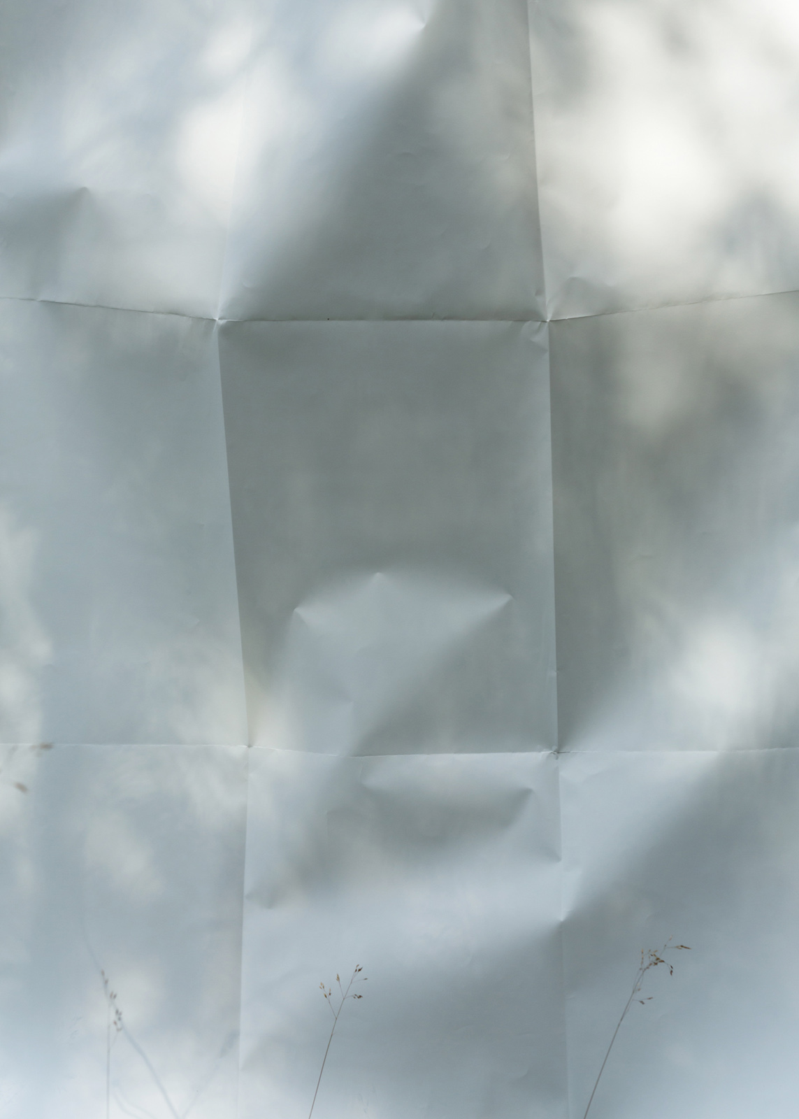 Maija Savolainen: Heinäkuu (heinä)